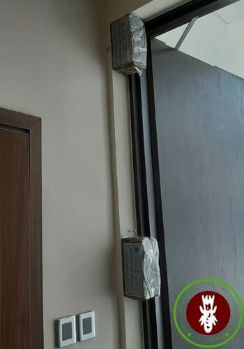 Dịch vụ Diệt Mối Chúa Tận Gốc Tại Nhà Hà Nội;