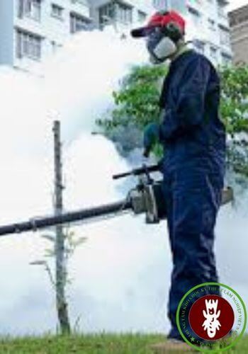 Dịch vụ Diệt Mối Chúa Tận Gốc Tại Nhà Hà Nội;