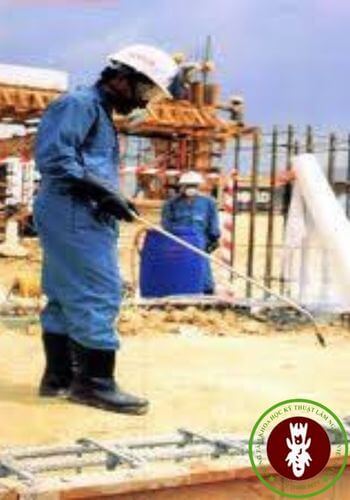 Dịch vụ Diệt Mối Chúa Tận Gốc Tại Nhà Hà Nội;